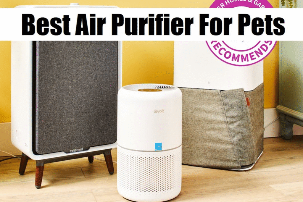 Best Air Purifier for Pets in 2025 | DailyTechInsights